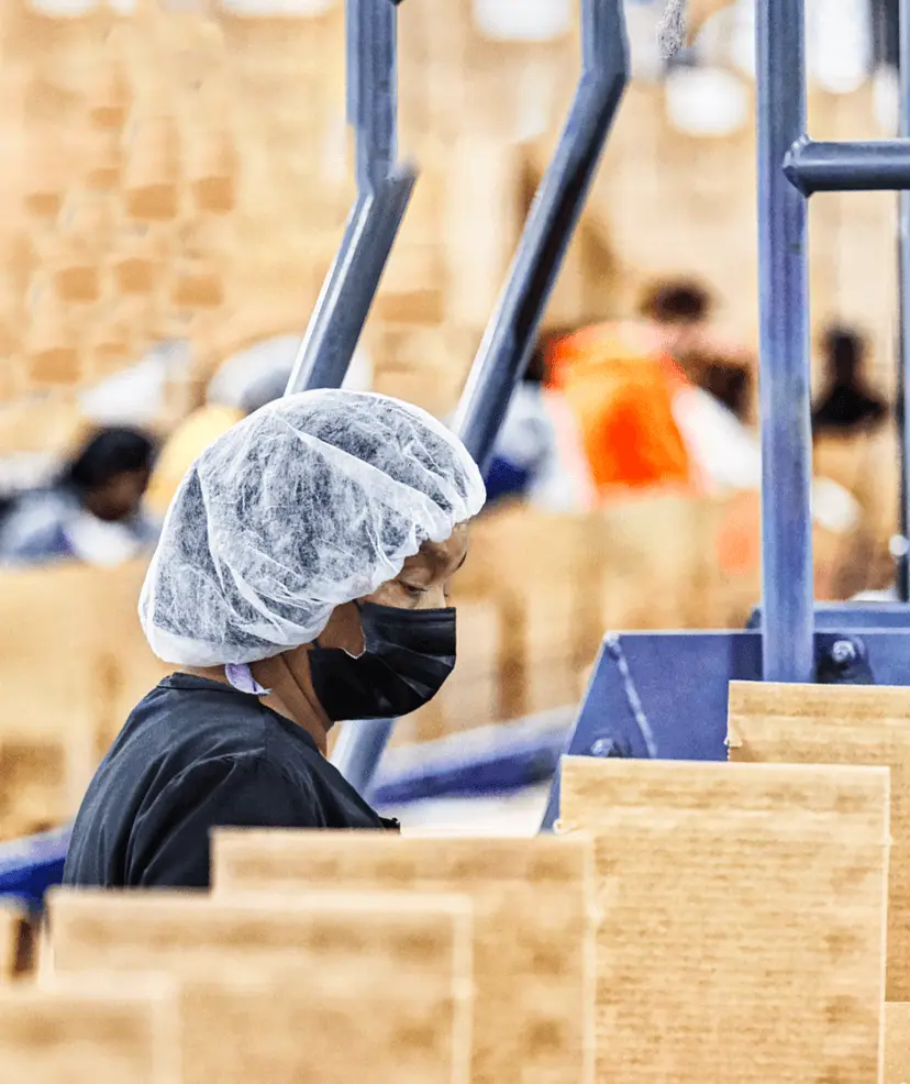 Worker in a manufacturing company looking at boxes go down a manufacturing line